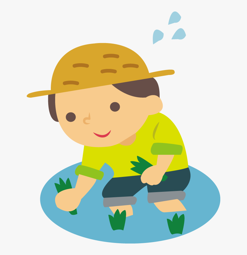 Rice Can Also Be Grown In A Bucket Or Planter At Home - Planting Rice Clipart, HD Png Download