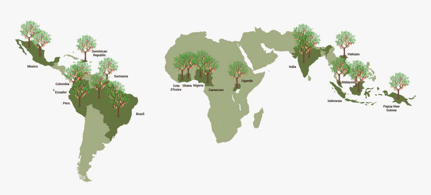 About Bean & Co - African Union, HD Png Download