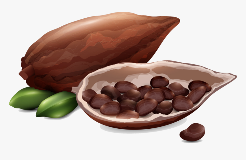 Direct Traded Raw Cacao, HD Png Download
