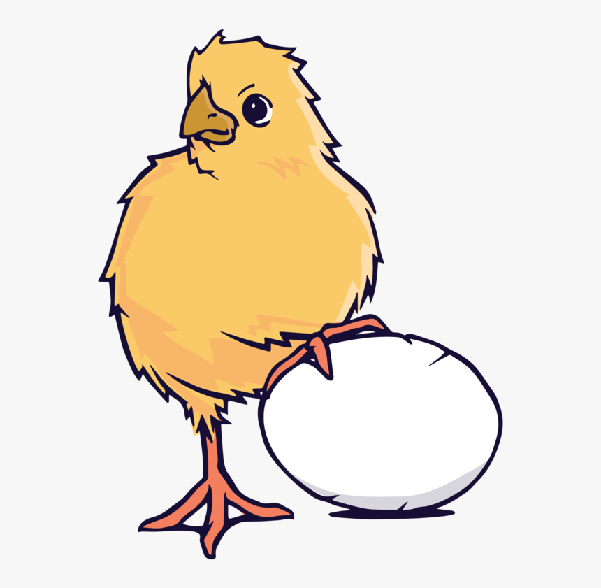 Poached Chicken, HD Png Download