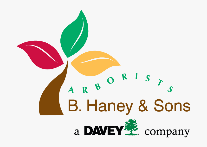 B Haney And Sons Arborists, HD Png Download