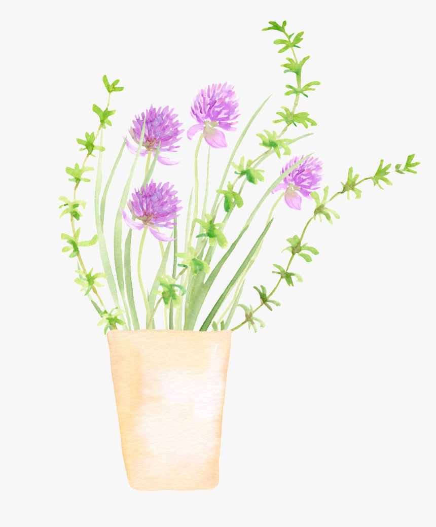 Spring Growing Plant Cartoon Transparent - Flowerpot, HD Png Download