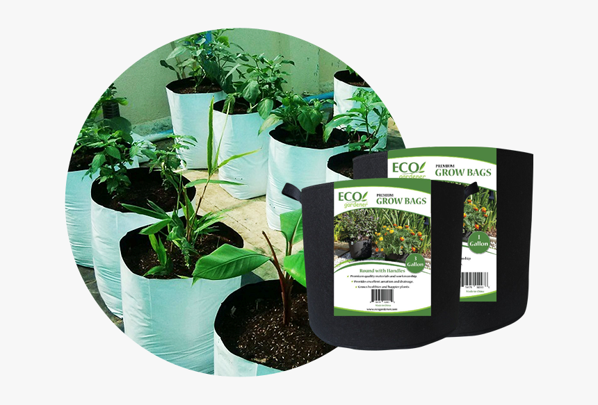 Ecogardener Premium Growbags - Grow Bag Online, HD Png Download