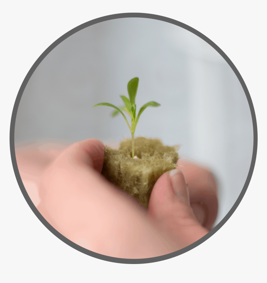 Circle, HD Png Download