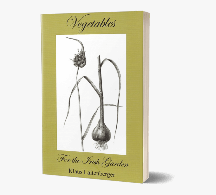 Dandelion, HD Png Download