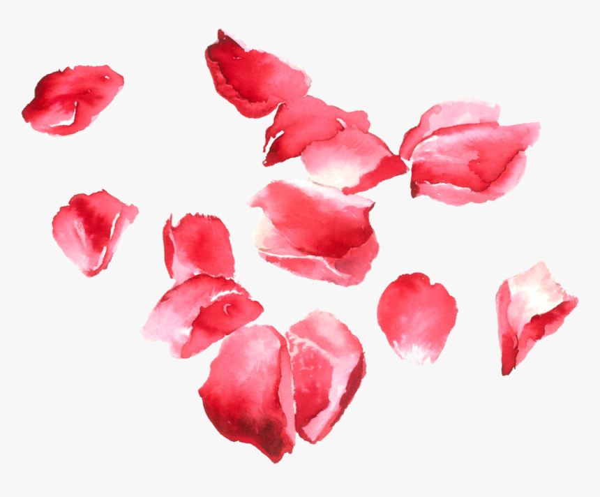 Transparent Rose Petals Png , Png Download - Portable Network Graphics, Png Download