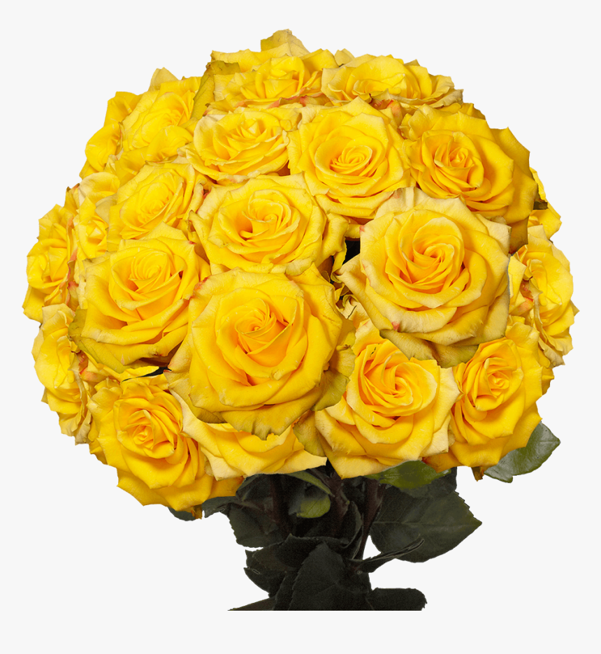 Floribunda, HD Png Download