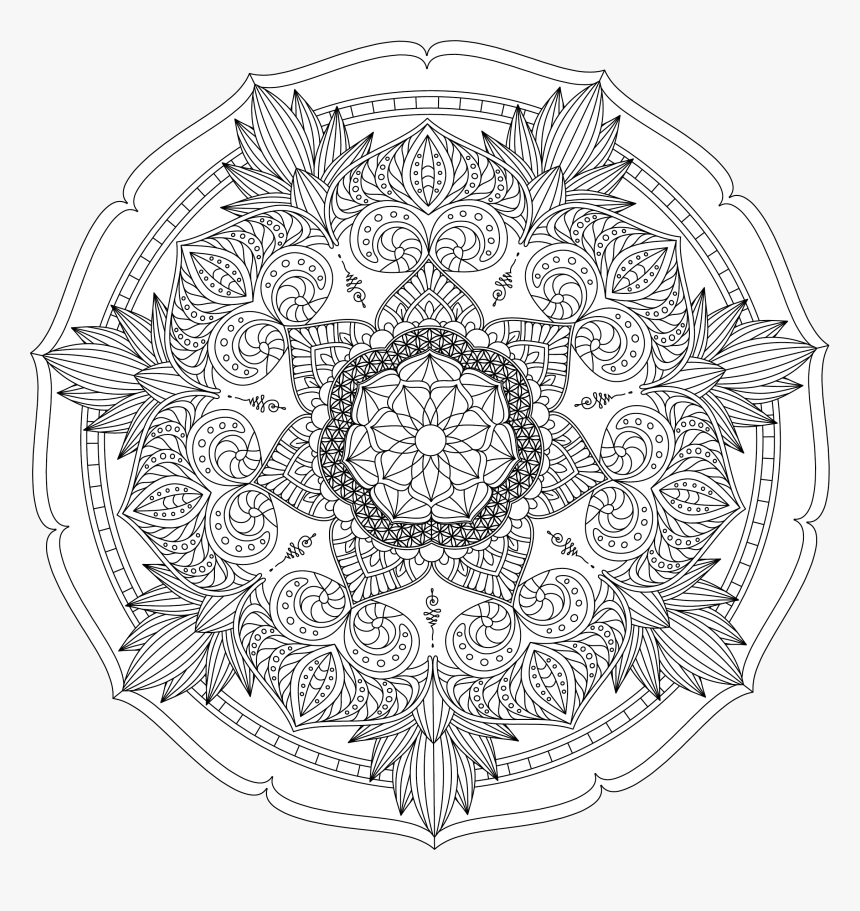 Circle, HD Png Download