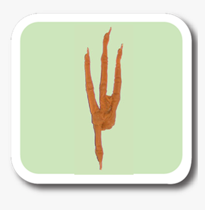 Great Blue Heron Replitrack - Driftwood, HD Png Download