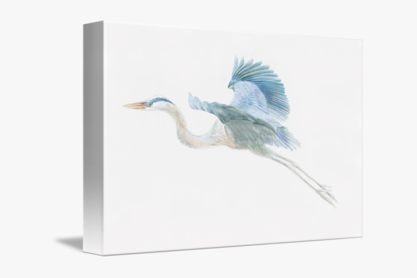 Great Egret, HD Png Download