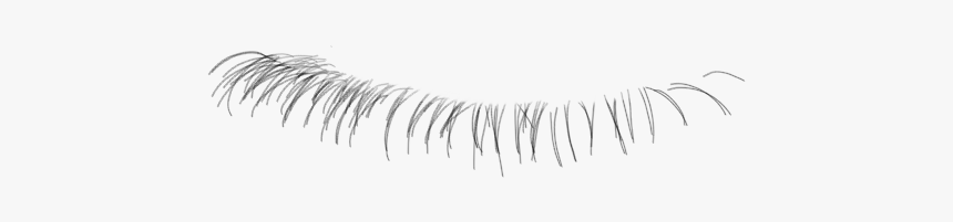 Follow My Instagram @yugirladrian - Eyelash Extensions, HD Png Download