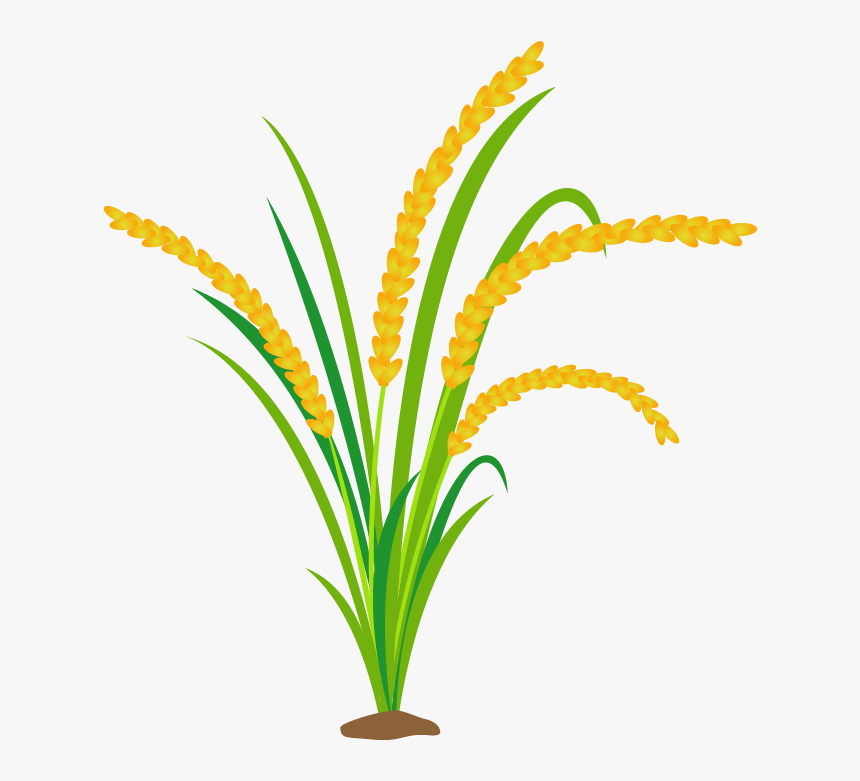 Grass, HD Png Download
