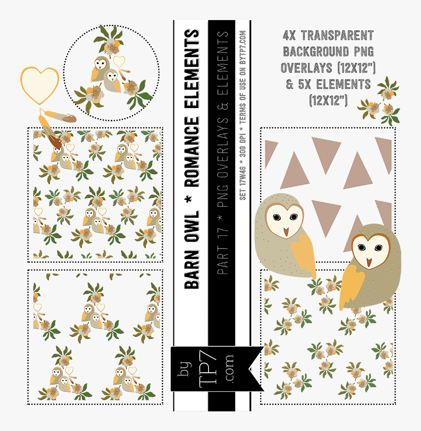 17w46 * Barn Owl Sets * - Cartoon, HD Png Download