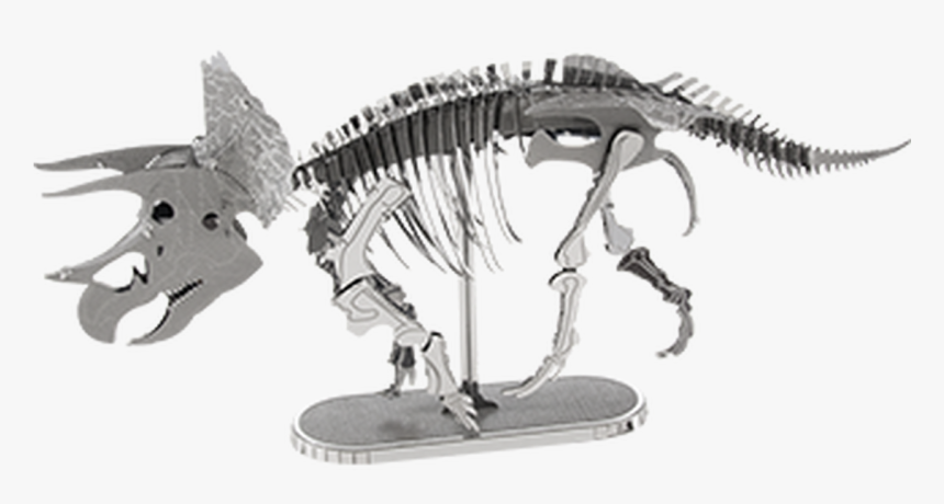 Triceratops Skeleton Metal Earth Model Kit - 3d Metal Earth Tyranosaurus, HD Png Download