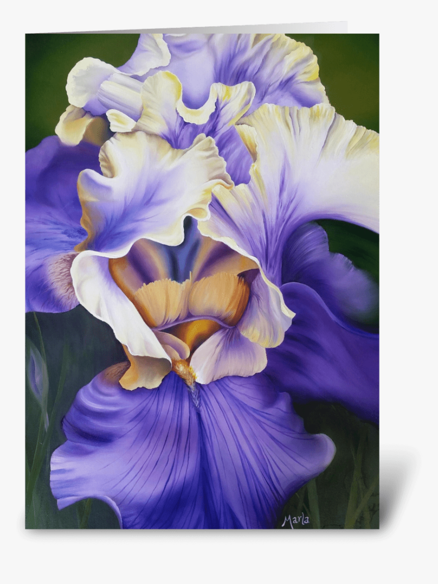 Iris Greeting Card - Iris, HD Png Download
