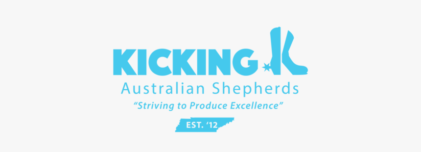 Untitled - Graphic Design, HD Png Download