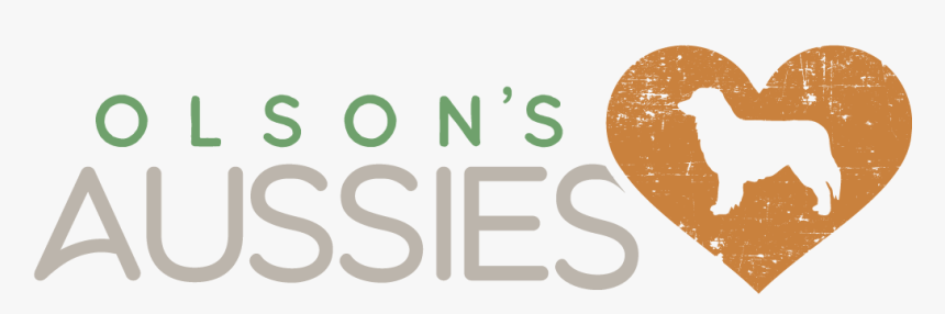 Australian Shepherds - Breeder - Chicken, HD Png Download