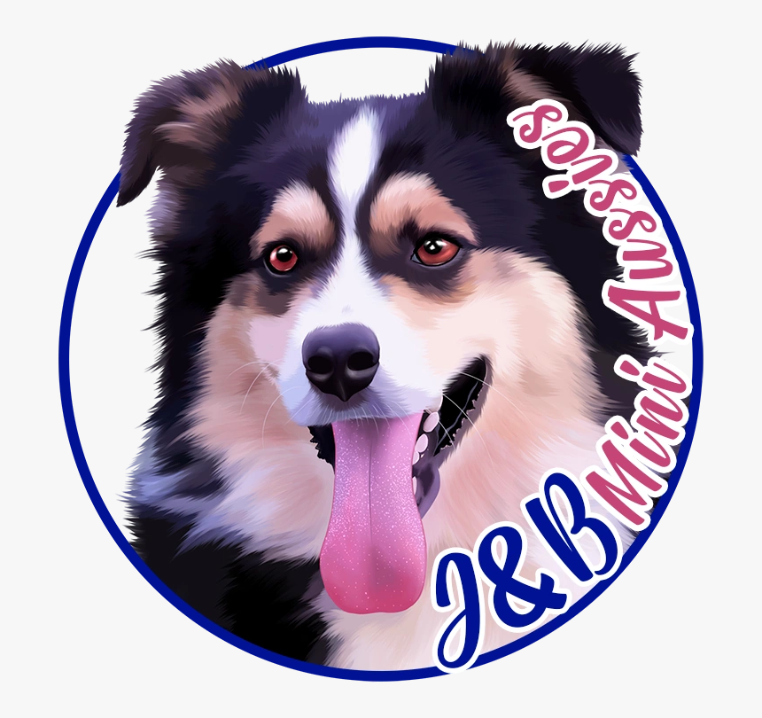 J&b Mini Aussies, HD Png Download