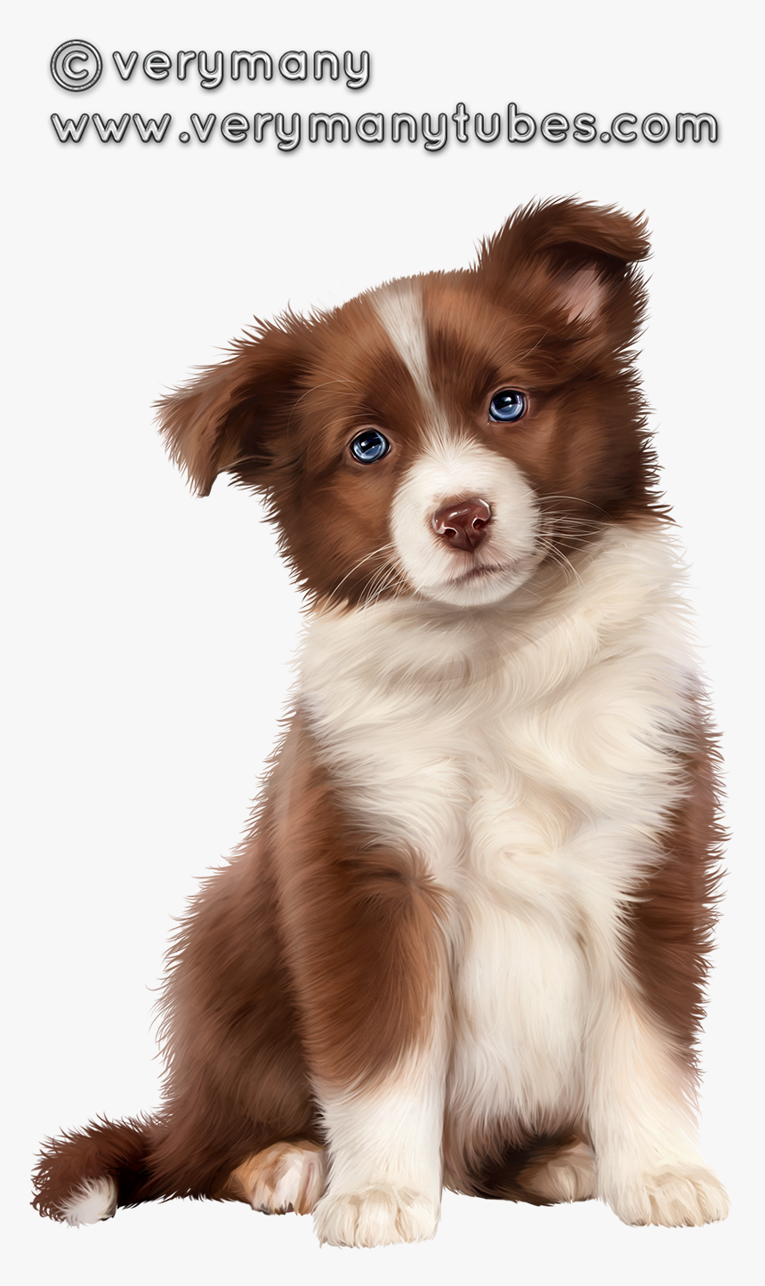 Animal, HD Png Download