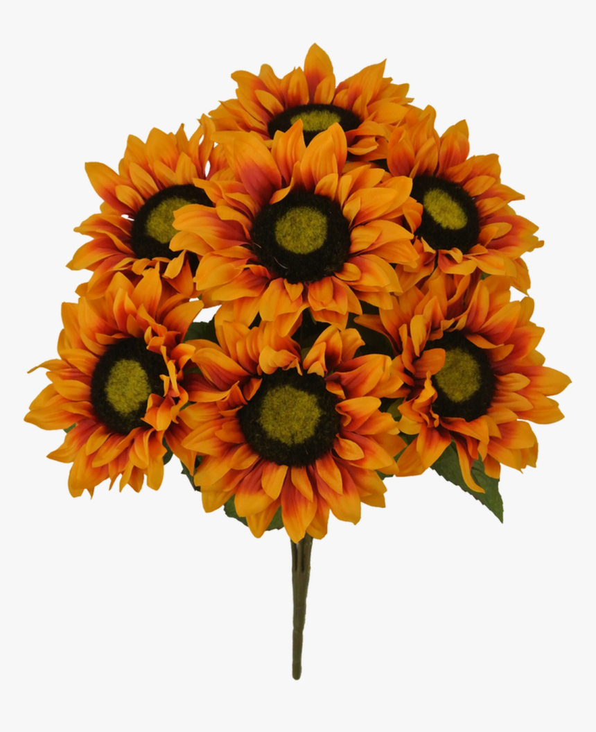 19 - Bouquet, HD Png Download