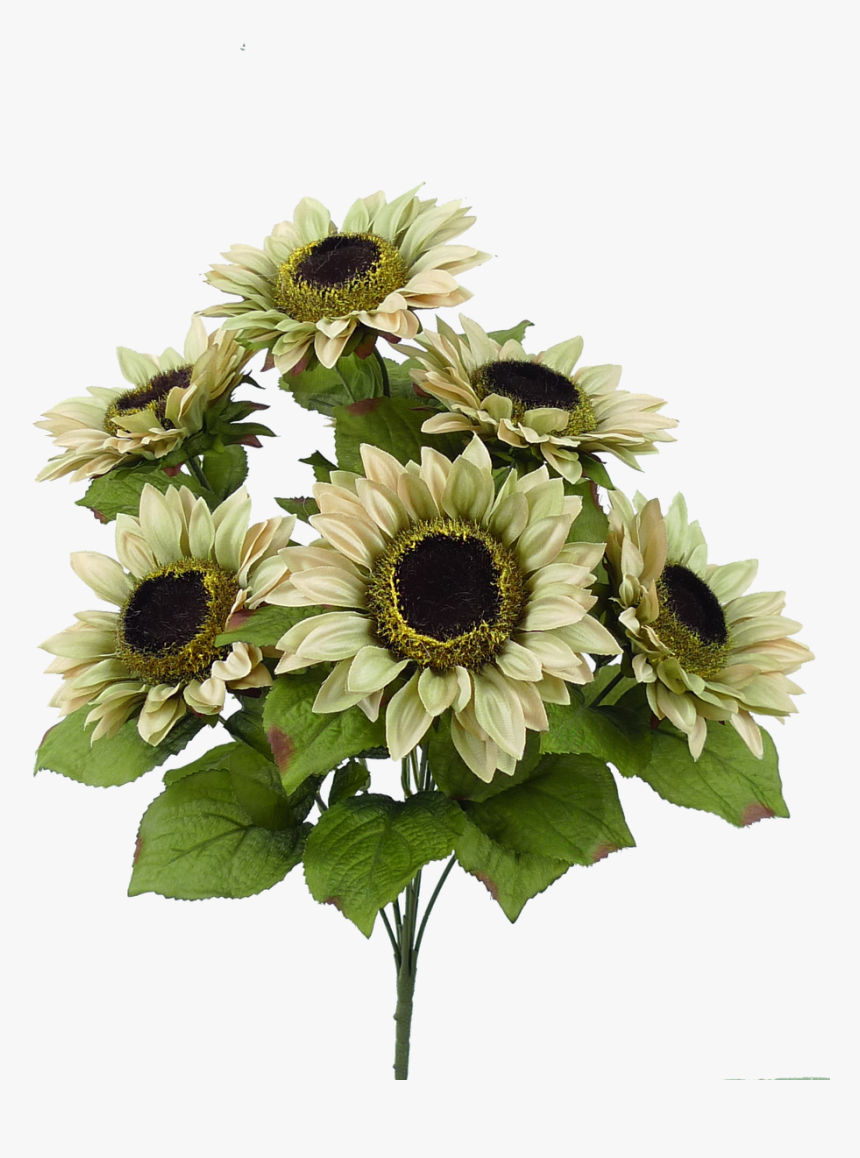 Tan - Bouquet, HD Png Download