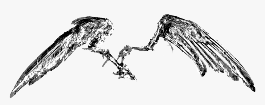Wings, HD Png Download
