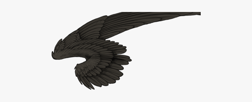 Lioden Wings Of Death, HD Png Download