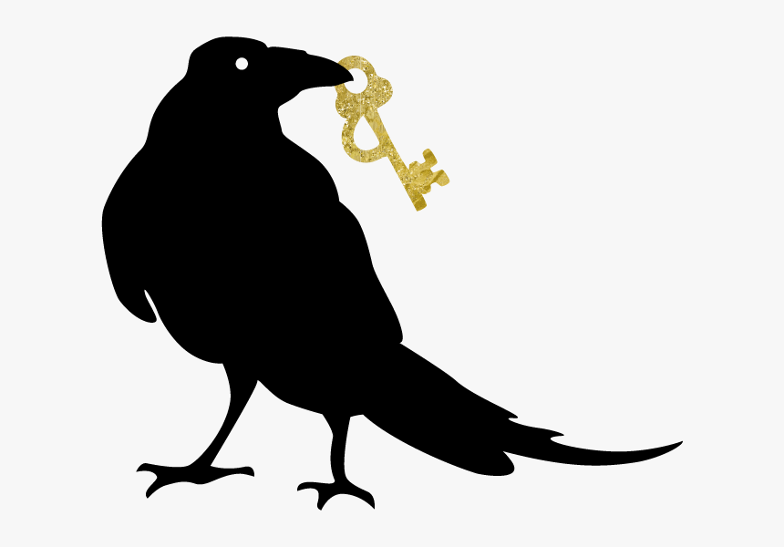 Parrot, HD Png Download