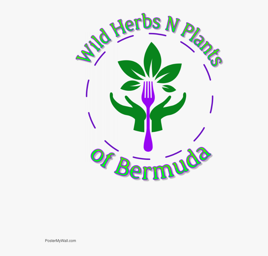 Wild Herbs N Plants Of Bermuda Logo - Graphic Design, HD Png Download