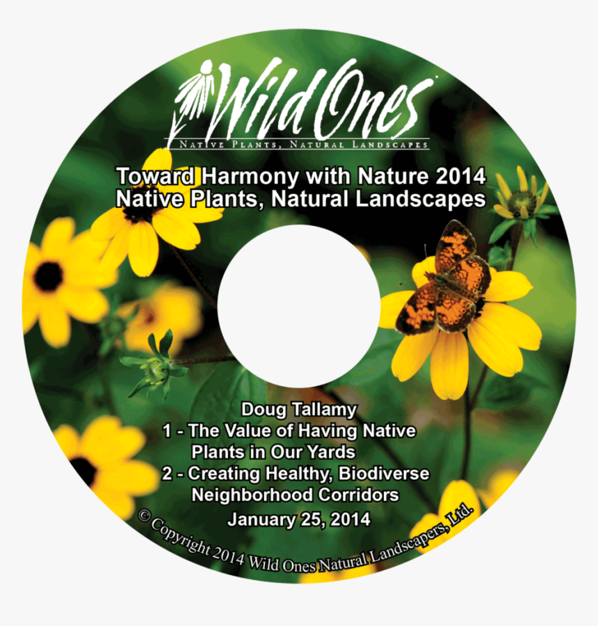 Sunflower, HD Png Download