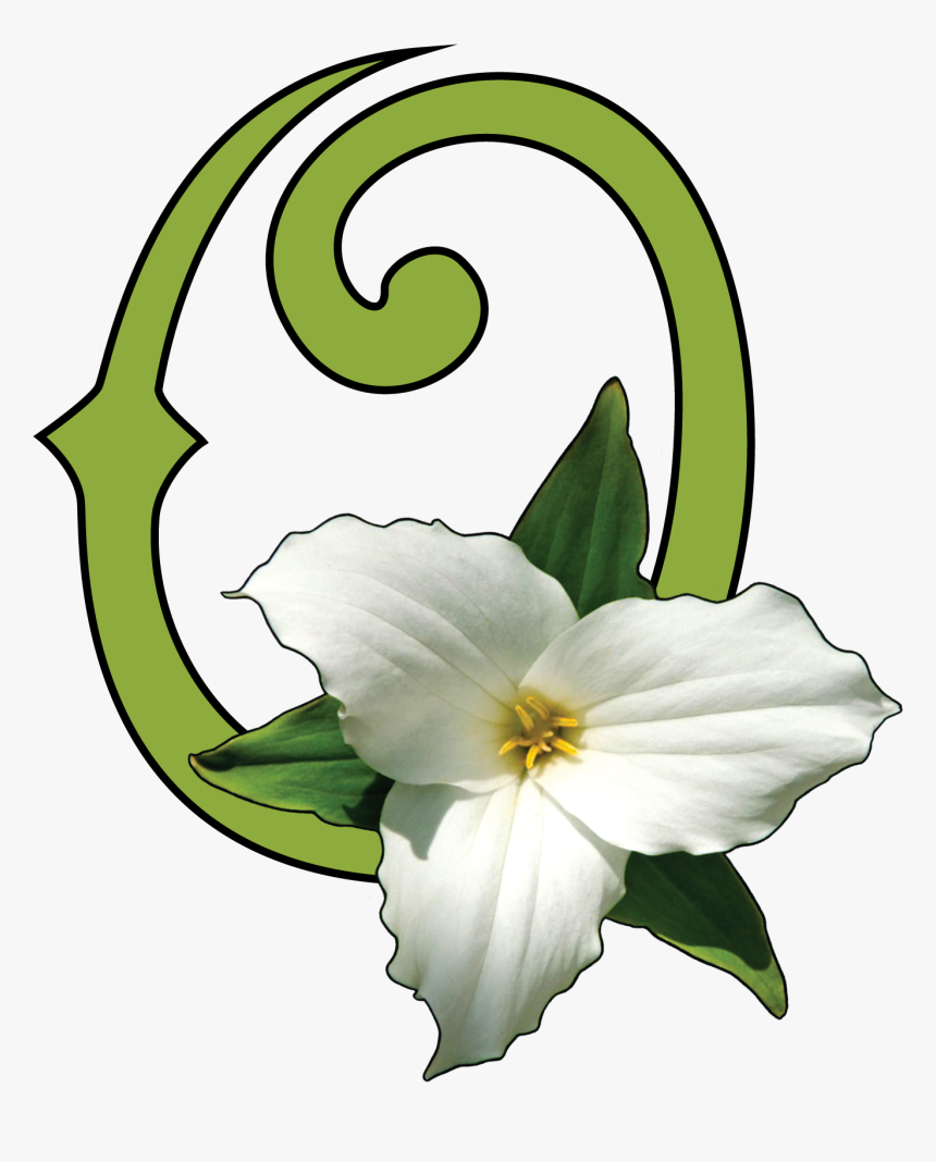 Ohio Native Plant Month - Ohio Native Plant Month April, HD Png Download