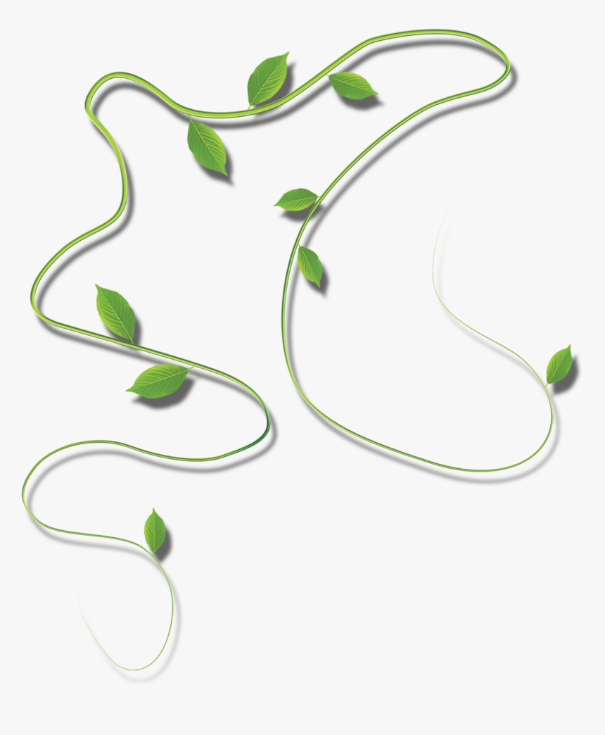 Clipart Leaves Cartoon Vine - Portable Network Graphics, HD Png Download