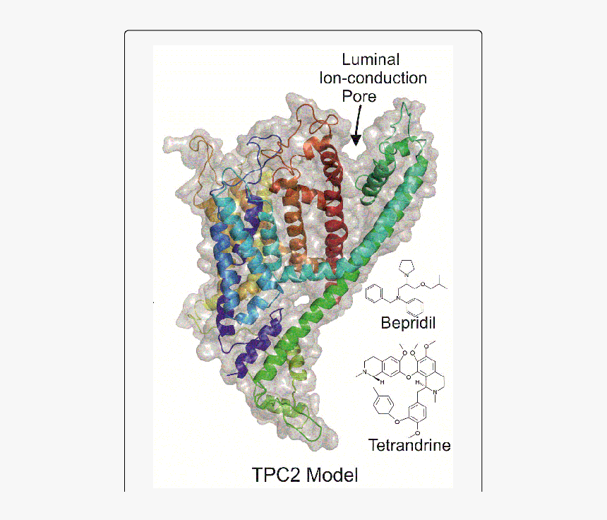 Craft, HD Png Download