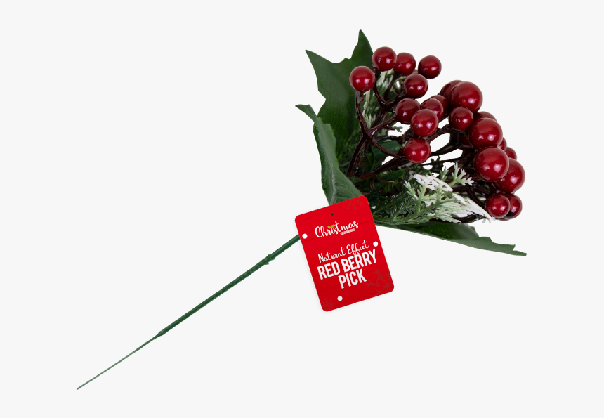 Christmas Red Berry Pick With Pdq - Floral Design, HD Png Download