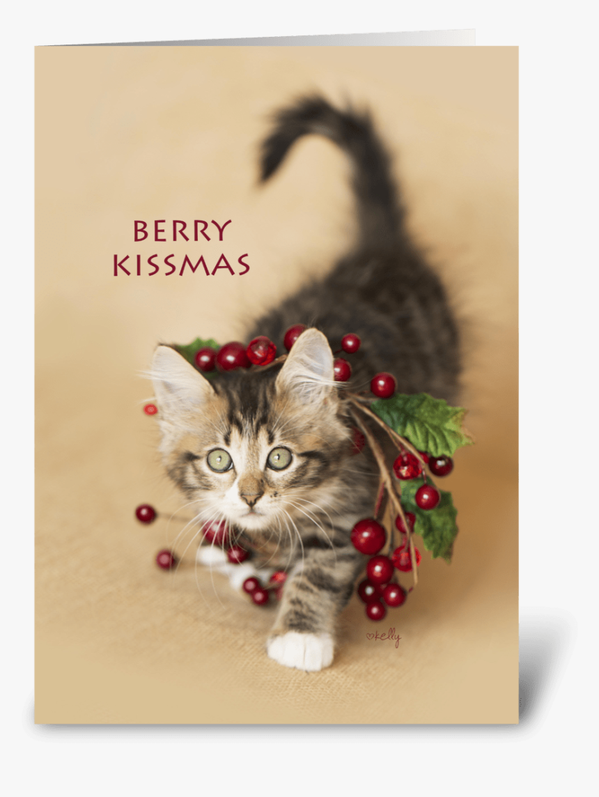 Berry Kissmas Christmas Kitten Greeting Card - Kitten, HD Png Download
