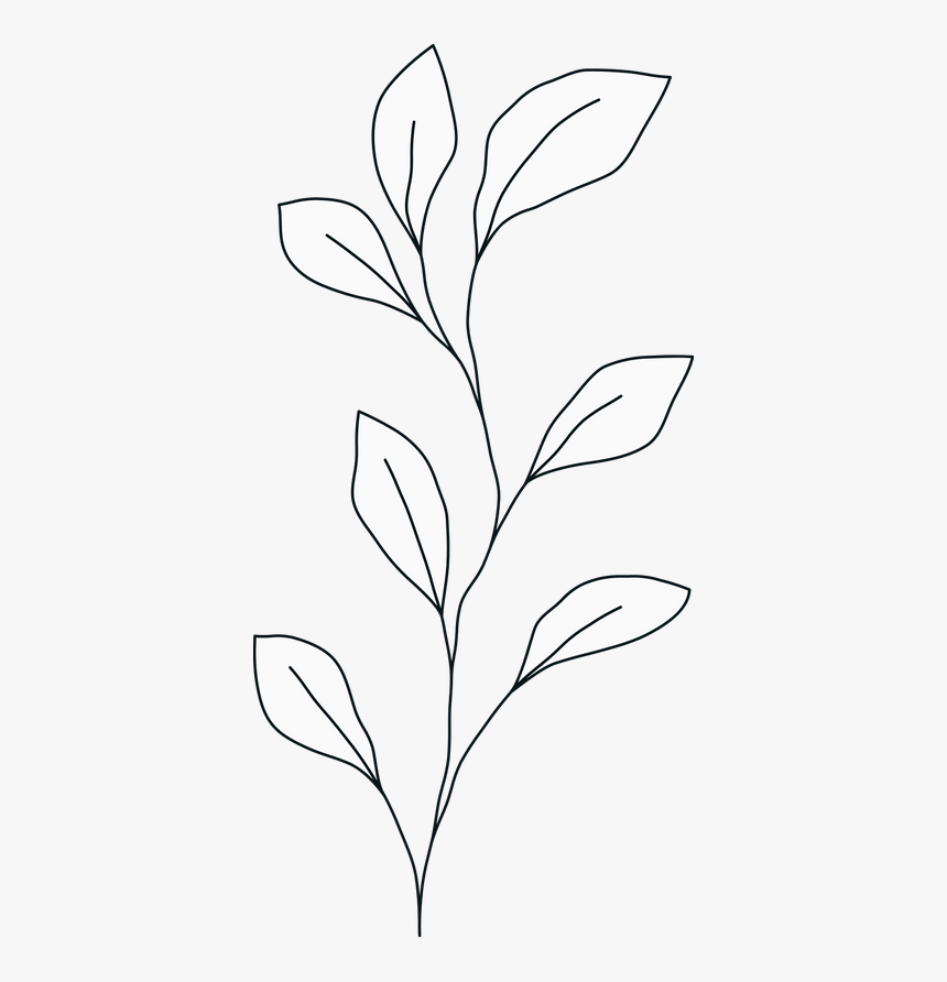 Monochrome, HD Png Download