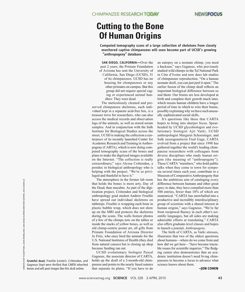 Folio Fifteen From Burchard Of Sion's De Locis Ac Mirabilibus, HD Png Download