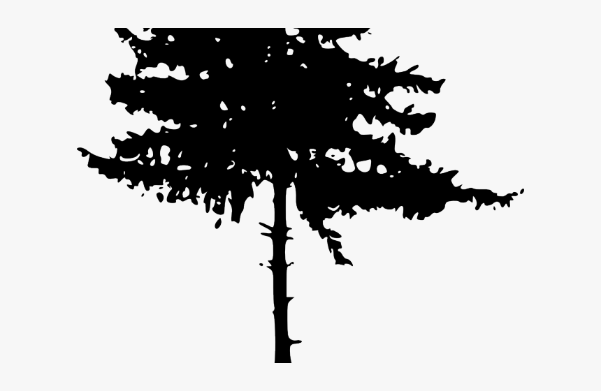 Pine Tree Clipart Transparent Background - Pine Tree Silhouette Png, Png Download