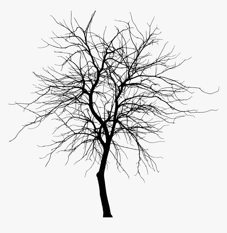 Transparent Bare Tree Silhouette, HD Png Download