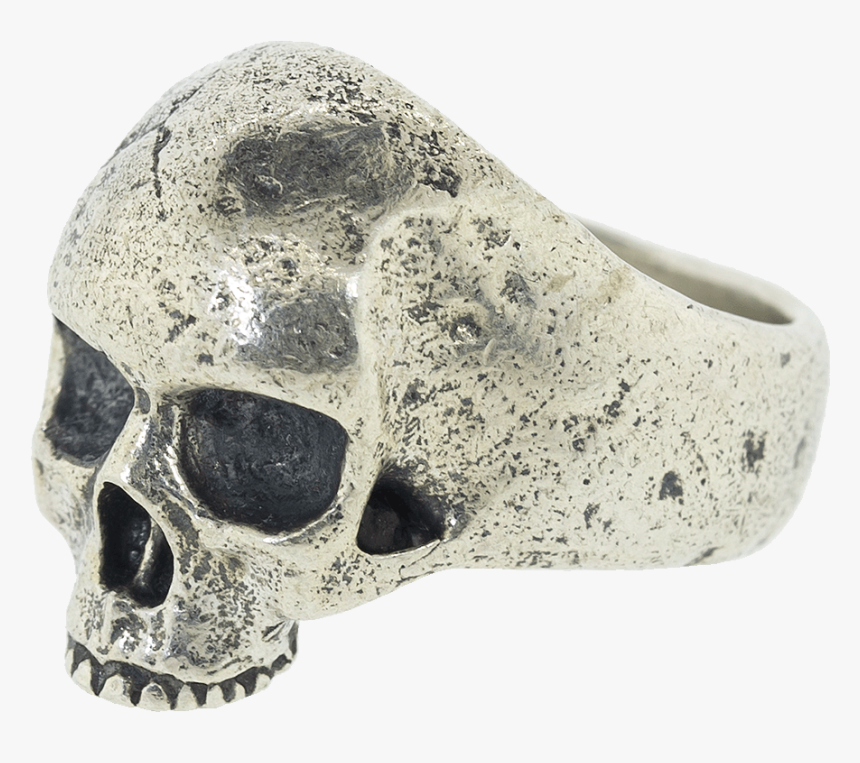 Skull, HD Png Download