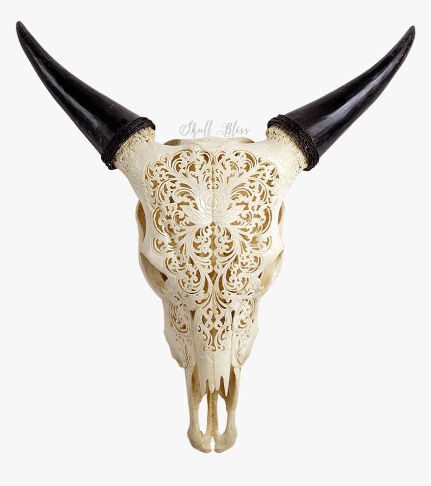 Carved Cow Skull - Animal Skulls With Designs, HD Png Download