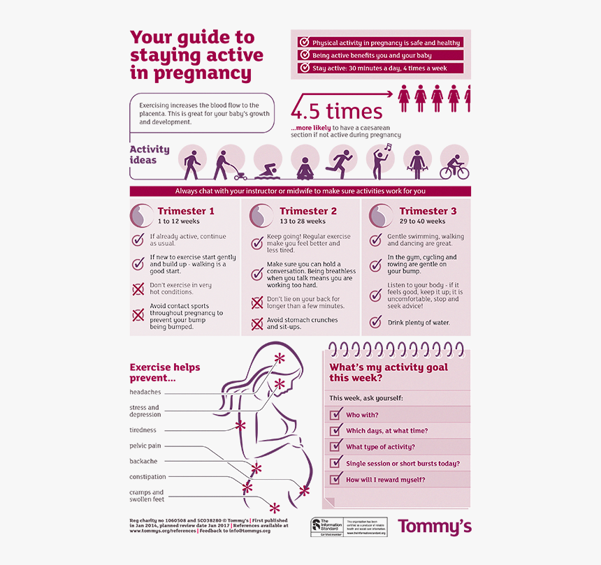 Training Program For Pregnant Women, HD Png Download