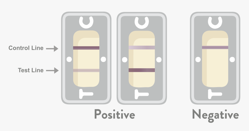 Door, HD Png Download