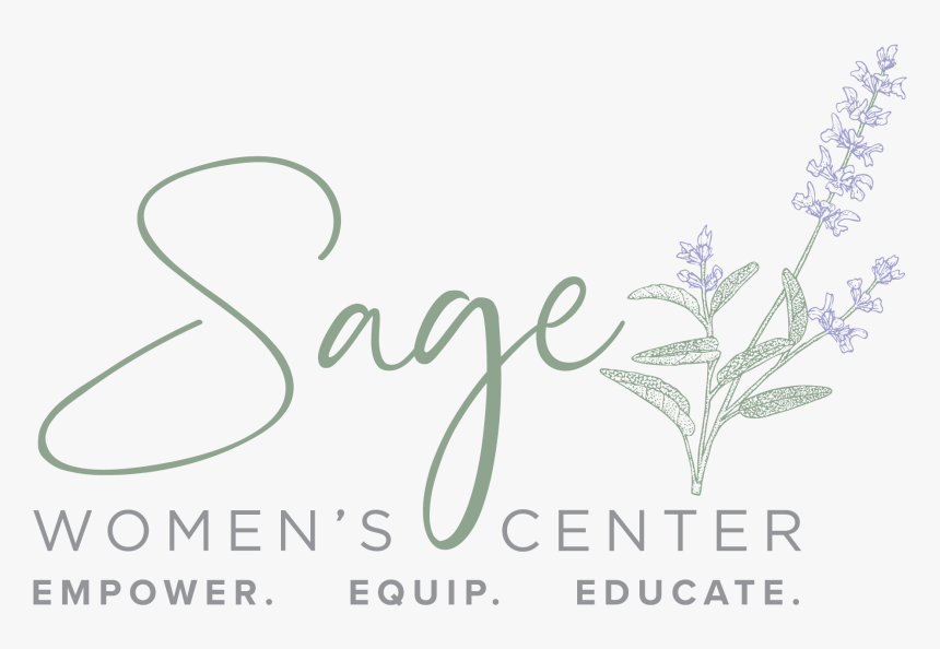 Logo - Calligraphy, HD Png Download