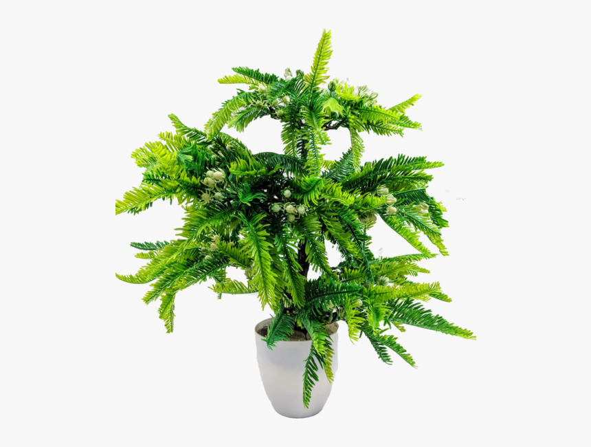 Artificial Potted Tree 

 
 Data Rimg Lazy 
 Data Rimg, HD Png Download