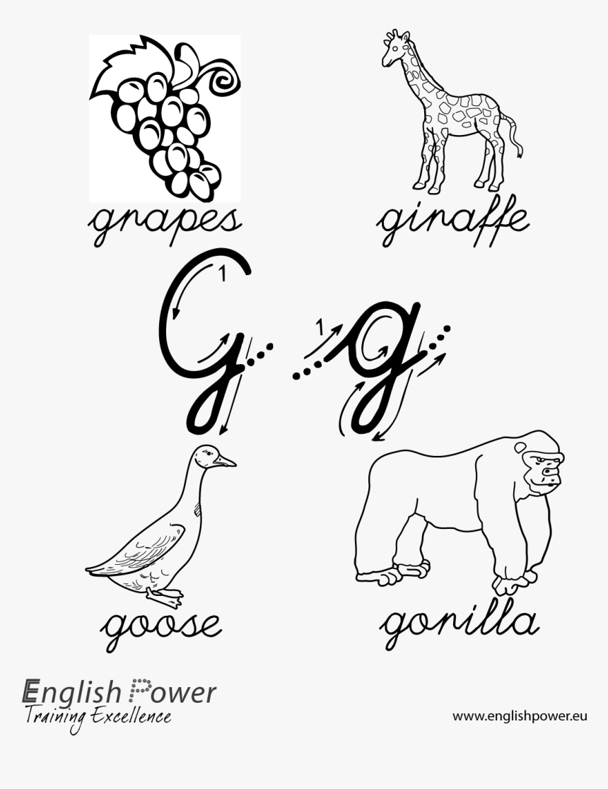 Colouring In Page Letter G For Kids - Grapes Clipart, HD Png Download
