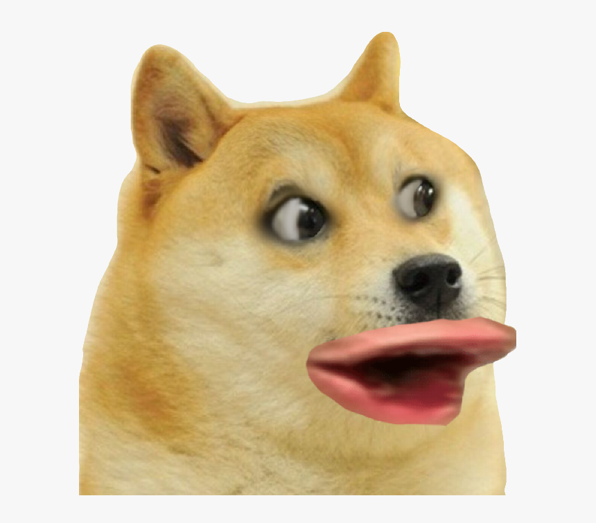 Shiba Inu Dog Mammal Vertebrate Canidae Dog Breed Shiba - Doge Png Transparent, Png Download