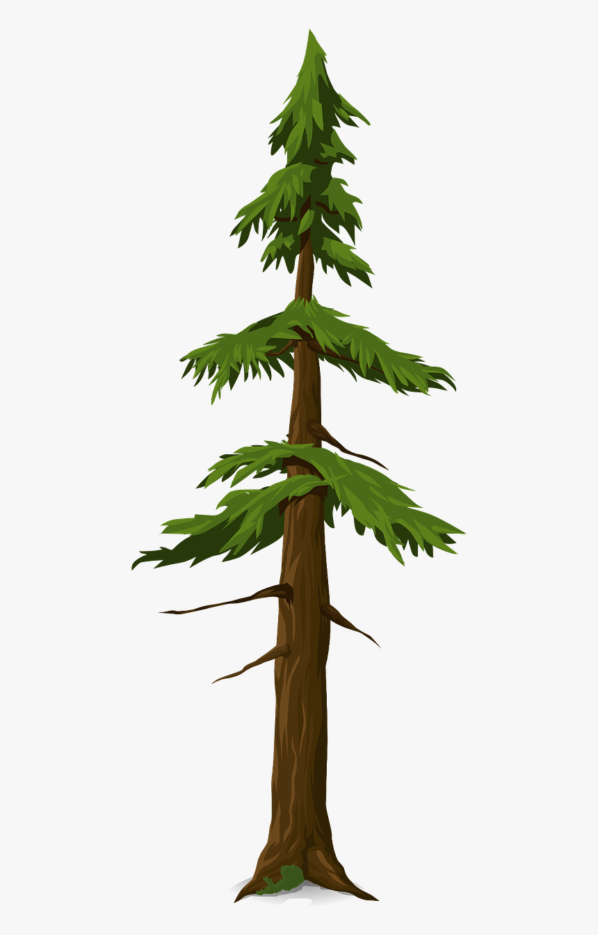 Trunk, HD Png Download