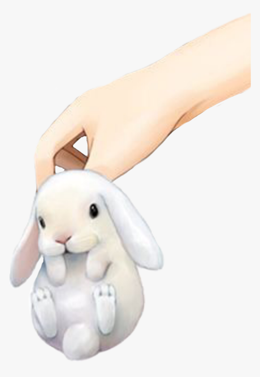 Bunny Baby Rabbit Hand Freetoedit - Stuffed Toy, HD Png Download
