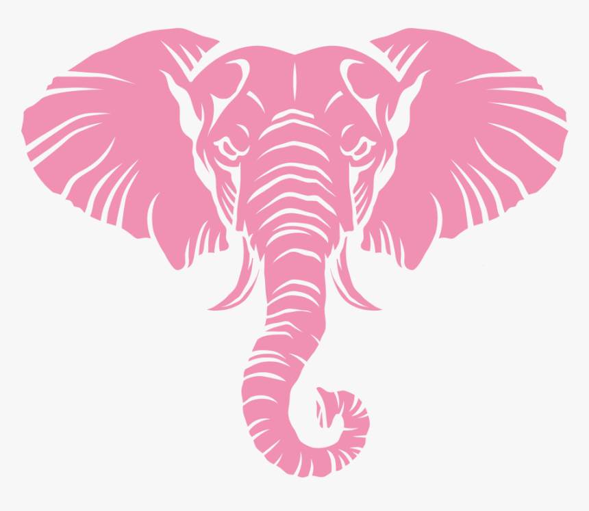 Realizzazione Video, Editing E Post Produzione - Indian Elephant, HD Png Download